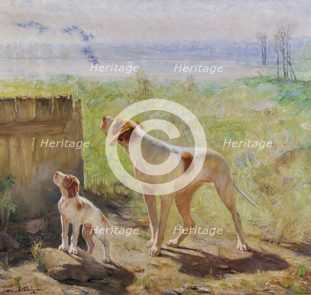 In the sun, (c1920s) Creator: Ida Eléonora de Schulzenheim.