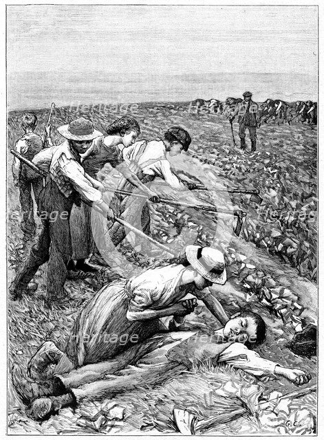 Gang system of child labour, c1885. Artist: Unknown