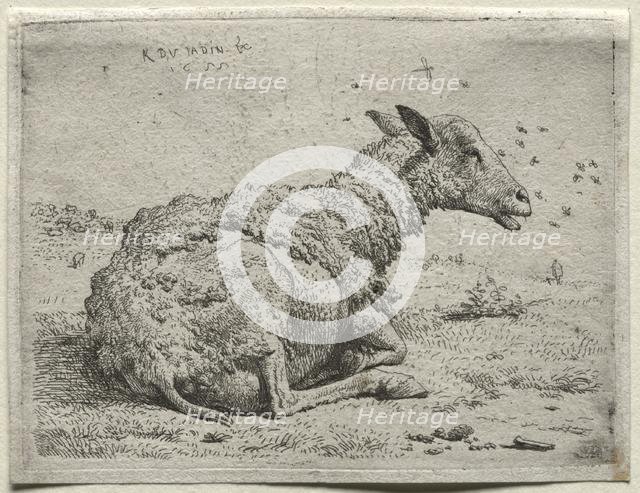 The Sheep and the Flies. Creator: Karel Dujardin (Dutch, c. 1622-1678).