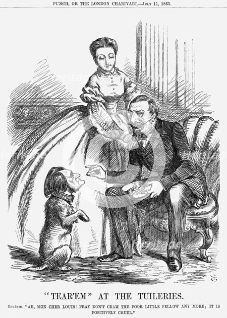 'Tear'em At The Tuileries', 1863. Artist: John Tenniel