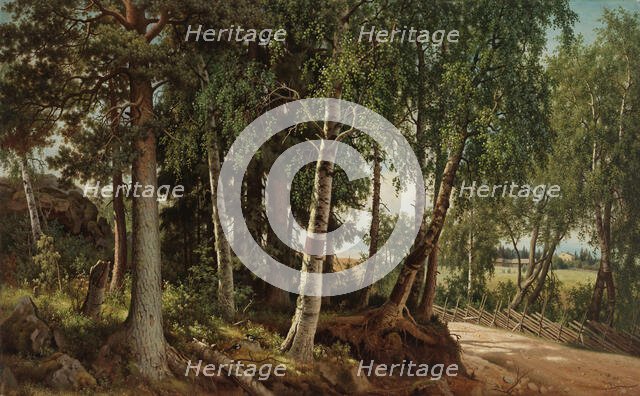 Forest Landscape from Haminalahti, 1880. Creator: Ferdinand von Wright.
