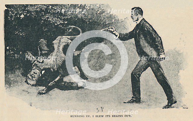 'Running Up. I Blew Its Brains Out', 1892. Artist: Sidney E Paget.