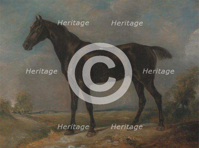 Golding Constable's Black Riding-Horse, between 1805 and 1810. Creator: John Constable.