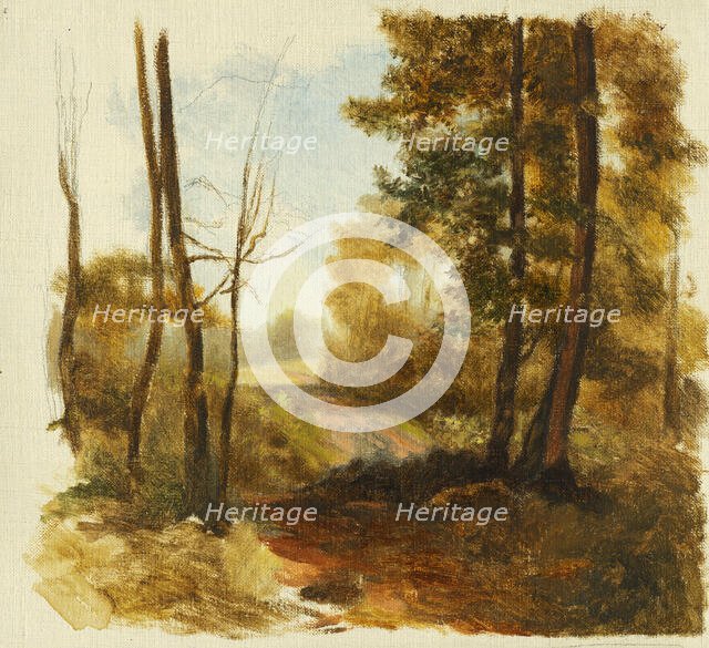 Forest path, 1850-1900. Creator: Jan Nowopacký.