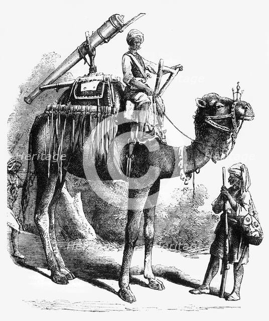 'Camel Jingall', c1891. Creator: James Grant.