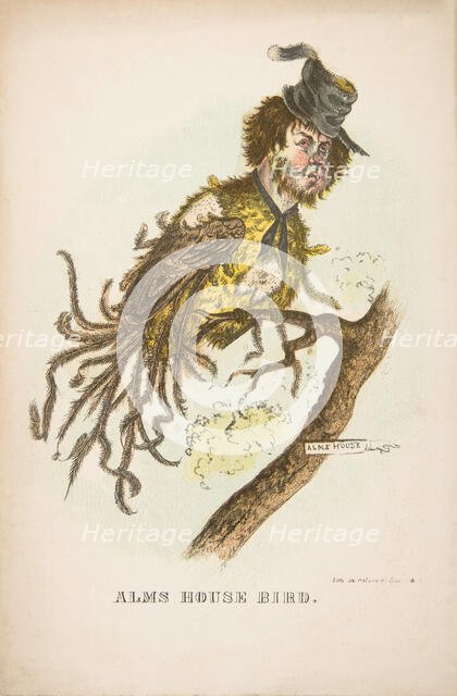 Alms House Bird, from The Comic Natural History of the Human Race, 1851. Creators: Henry Louis Stephens, L. Rosenthal.