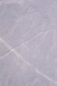 The Dog, Nazca Lines, Ica, Peru, 2015. Creator: Luis Rosendo.