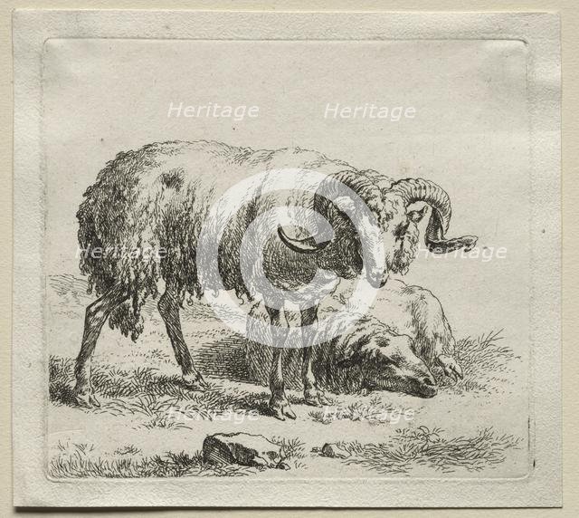 Ram and Sheep. Creator: Nicolaes Berchem (Dutch, 1620-1683).