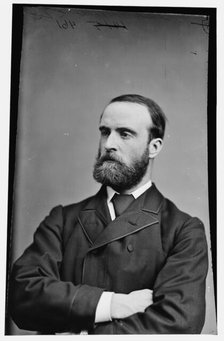 Charles Parnell of Dublin, Ireland, between 1870 and 1880. Creator: Unknown.