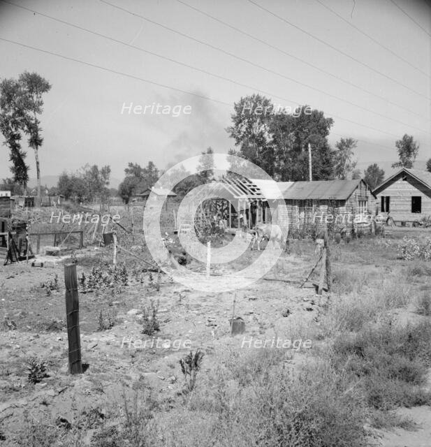 Untitled, 1935-1942. [Rural smallholding]. Creator: Unknown.