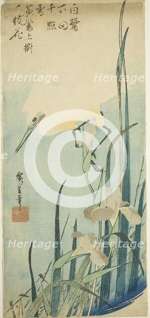 White heron and iris, c. 1832/34. Creator: Ando Hiroshige.