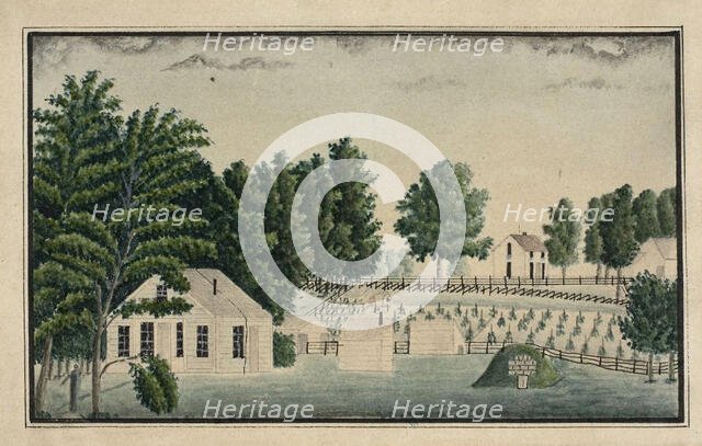 The Artist's Farm and Vineyard, n.d. Creator: Ernst Damitz.