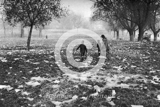The rubbish left on Hamstead Heath after a bank holiday, London, 1926-1927. Artist: Unknown