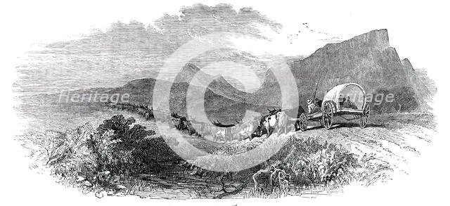 Cape Waggon, 1850. Creator: Unknown.