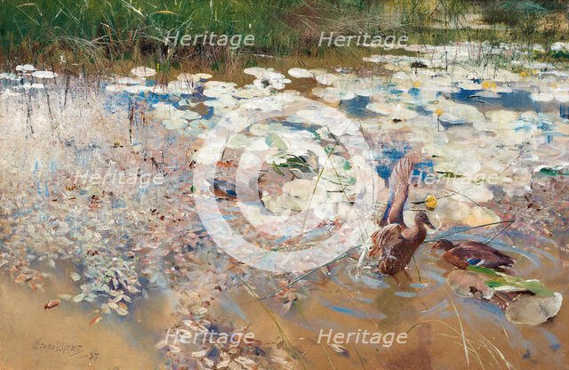 Wild Ducks, 1887. Creator: Liljefors, Bruno Andreas (1860-1939).