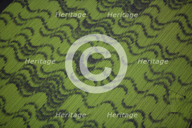 Crop patterns in fields near Ely, Cambridgeshire, 2008. Artist: Historic England Staff Photographer.