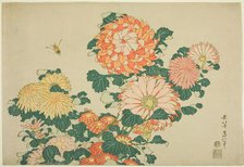 Chrysanthemums and Bee, from an untitled series of Large Flowers, Japan, c. 1831-33. Creator: Hokusai.