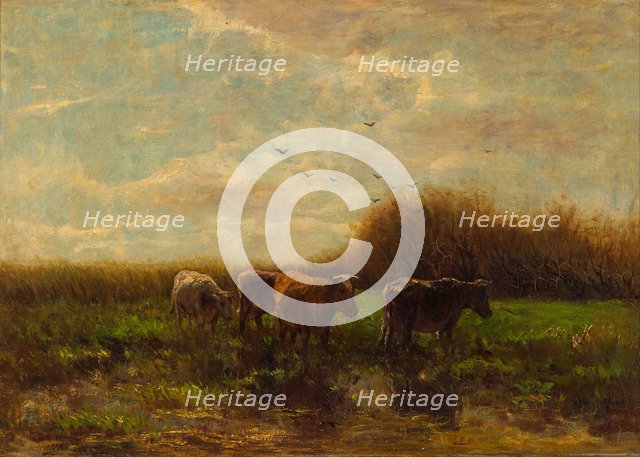 Cows at evening. Artist: Maris, Willem (1844-1910)