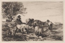 Herd of Sheep, 1864. Creator: Charles Emile Jacque.