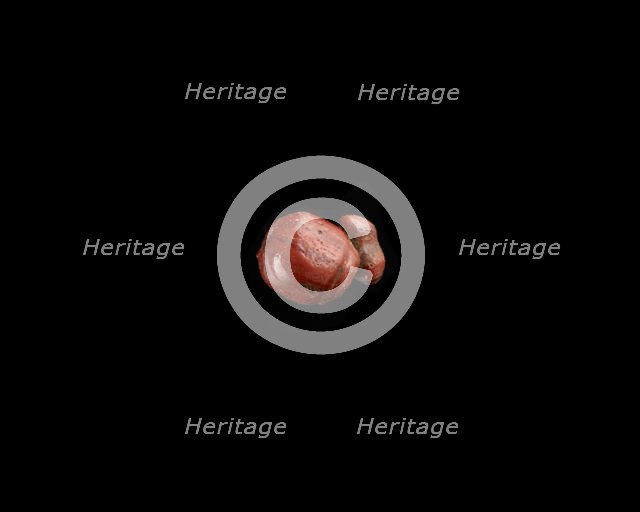 Bead, New Kingdom, 1550-1196 BCE. Creator: Unknown.