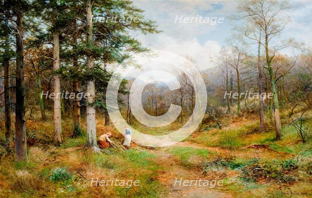 On The Long Mynd, Church Stretton, 1907. Creator: David Bates.