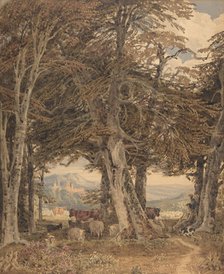 Cattle and Sheep at Resting at the Edge of a Forest, ca. 1840. Creator: George Barret the Younger.