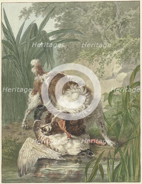 Hunting dog catches a duck, 1754-1831. Creator: Wybrand Hendriks.