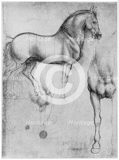 Studies of Horses, c1490 (1954). Artist: Leonardo da Vinci