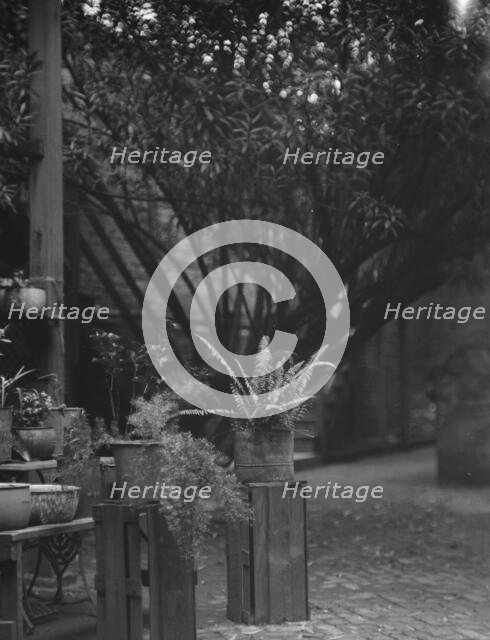 Courtyard, New Orleans, between 1920 and 1926. Creator: Arnold Genthe.