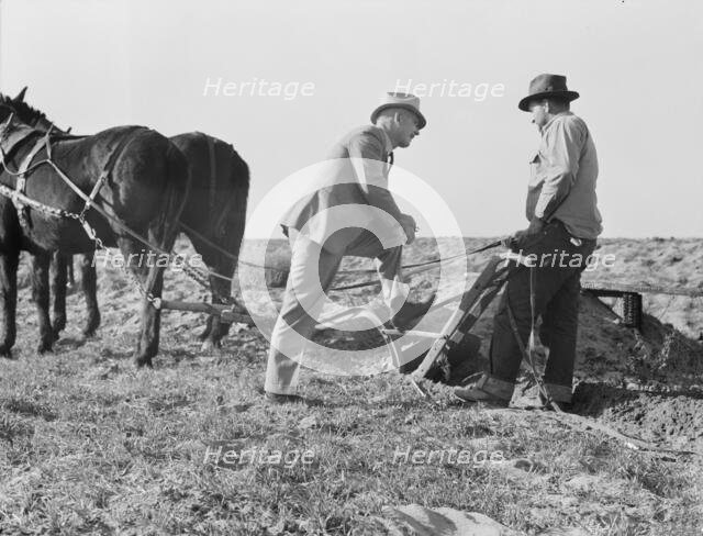 Purchasing farm under Bankhead-Jones Act, near Stockton, California, November 17, 1938. Creator: Dorothea Lange.