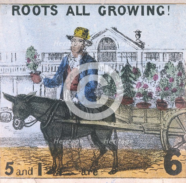 'Roots all Growing!', Cries of London, c1840. Artist: TH Jones