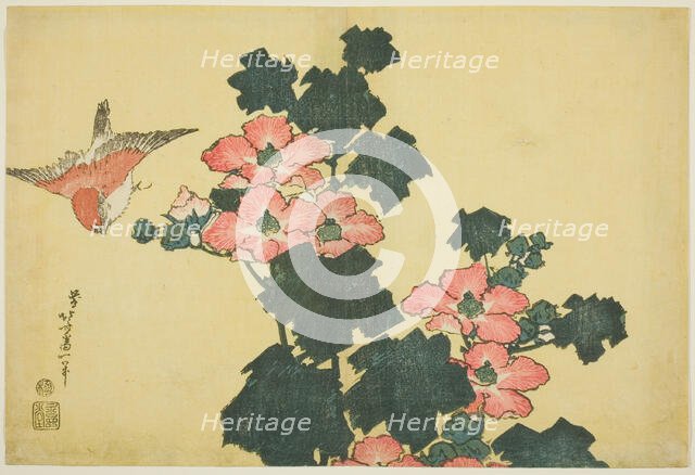 Cotton Roses and Sparrow, from an untitled series of Large Flowers, Japan, c. 1833/34. Creator: Hokusai.