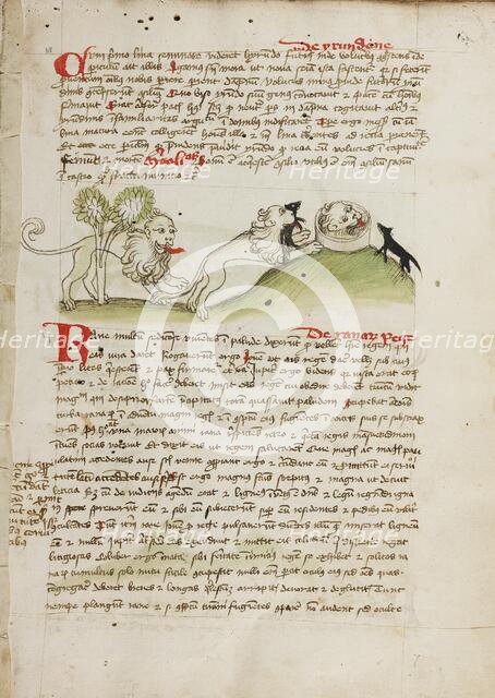 A Lion and Another Lion with a Mouse; Fables; Animal Fables, third quarter of 15th century. Creator: Unknown.