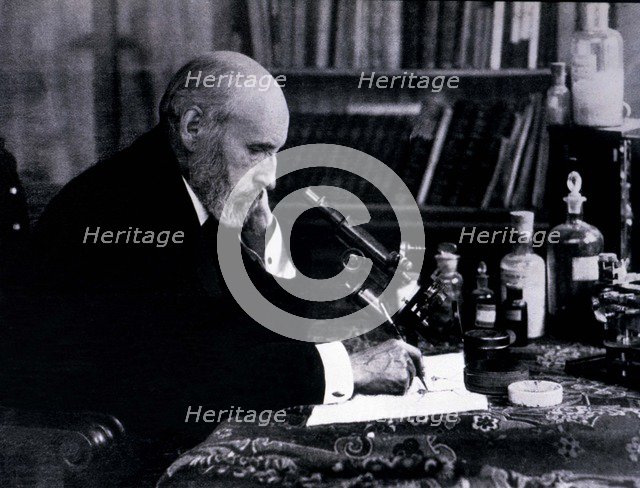 Santiago Ramón y Cajal (1852-1934), Spanish physician and researcher, Nobel Prize in Medicine in …