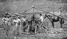 A wooden, horse-powered suger cane crushing mill, West Indies, 1922. Artist: Unknown