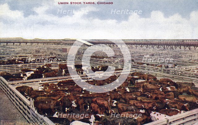 Union Stock Yards, Chicago, Illinois, USA, 1910. Artist: Unknown