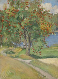 Rowan Tree, 1908. Creator: Pekka Halonen.