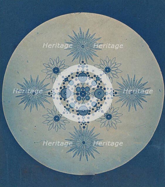 [Frustules of Diatoms], ca. 1870. Creator: Attributed to Julius Wiesner.