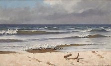 Coast at Polaga, 1889. Creator: Stanislaw Witkiewicz.