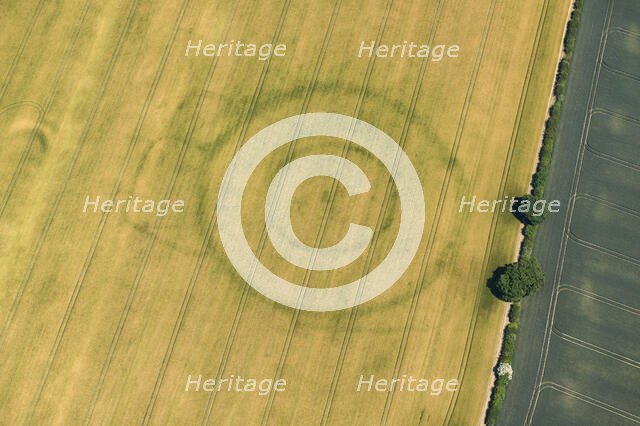 Cropmarks of a Neolithic henge and later enclosures at Paddock Hill, East Riding of Yorkshire, 2022. Creator: Emma Trevarthen.
