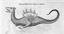 Dragon, 1678. Artist: Athanasius Kircher