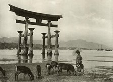 'The Old Torii at Miyajima', 1910. Creator: Herbert Ponting.