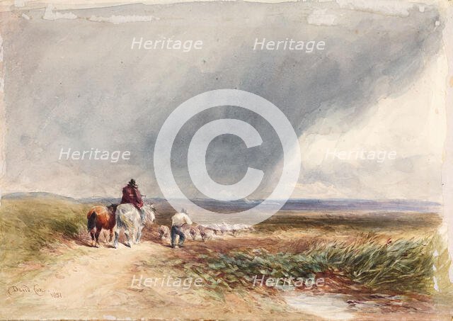 Moorland Scene, Driving Sheep, 1851. Creator: David Cox the Elder.