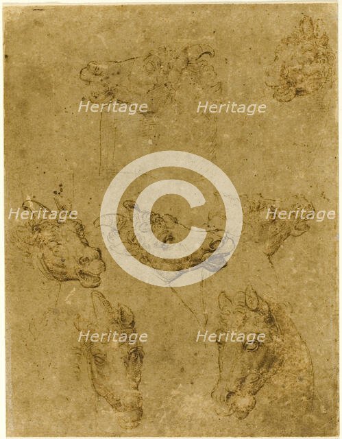 Heads of Horses and Unicorns, 1530/40. Creator: Unknown.