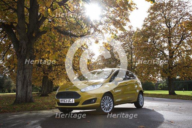 2013 Ford Fiesta Econetic Artist: Unknown.