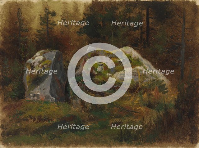 Mossy stones in the forest. Creator: Johan Knutson.