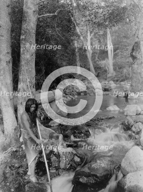 The salmon stream, c1923. Creator: Edward Sheriff Curtis.