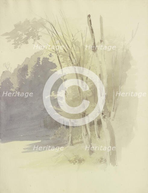 Edge of a wood, c1853. Creator: Carl Theodor Reiffenstein.