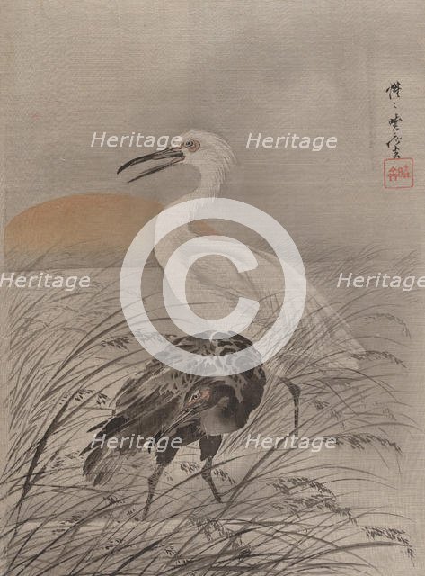 Cranes in Marsh, ca. 1887. Creator: Kawanabe Kyosai.