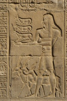 Offerer relief, Temple of Kom Ombo, Egypt, Ptolemaic Dynasty, 2nd century BC (2023). Creator: Unknown.